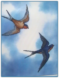 Barn Swallows / Crossed Wing Collection