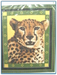 Cheetah / Pegaus