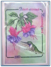 Black Chinned Hummingbird 2007 / Crossed Wing Collection