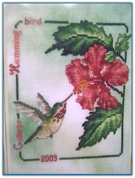 Calliope Hummingbird / Crossed Wing Collection