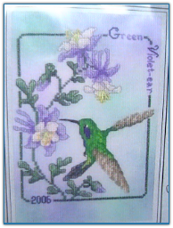 Green Violet-Eared Hummingbird '06 / Crossed Wing Collection